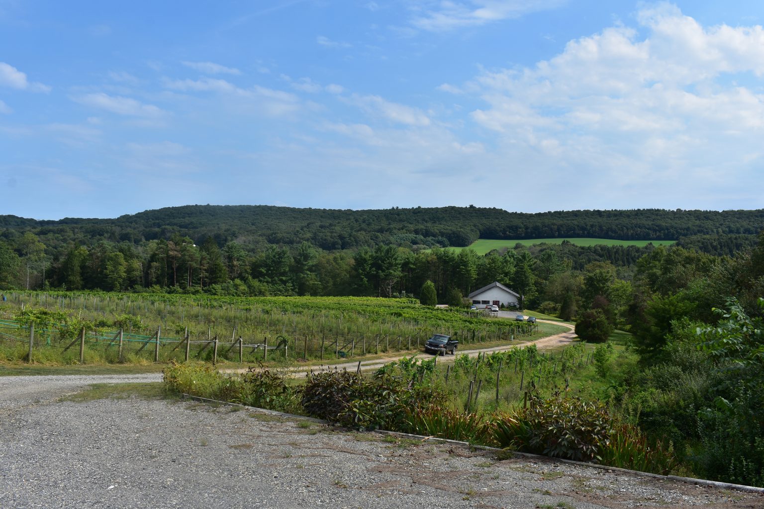 Pocono Wine Trail - Big Creek Vineyard