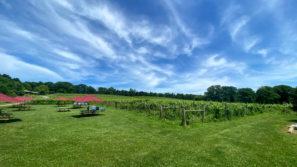 We offer outdoor seating with picnic tables, umbrellas, and benches. You are also welcome to bring your own picnic blanket.