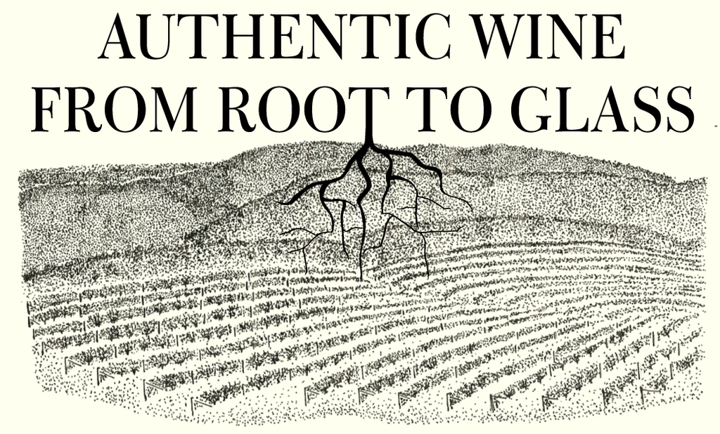 Authentic wine from root to glass.